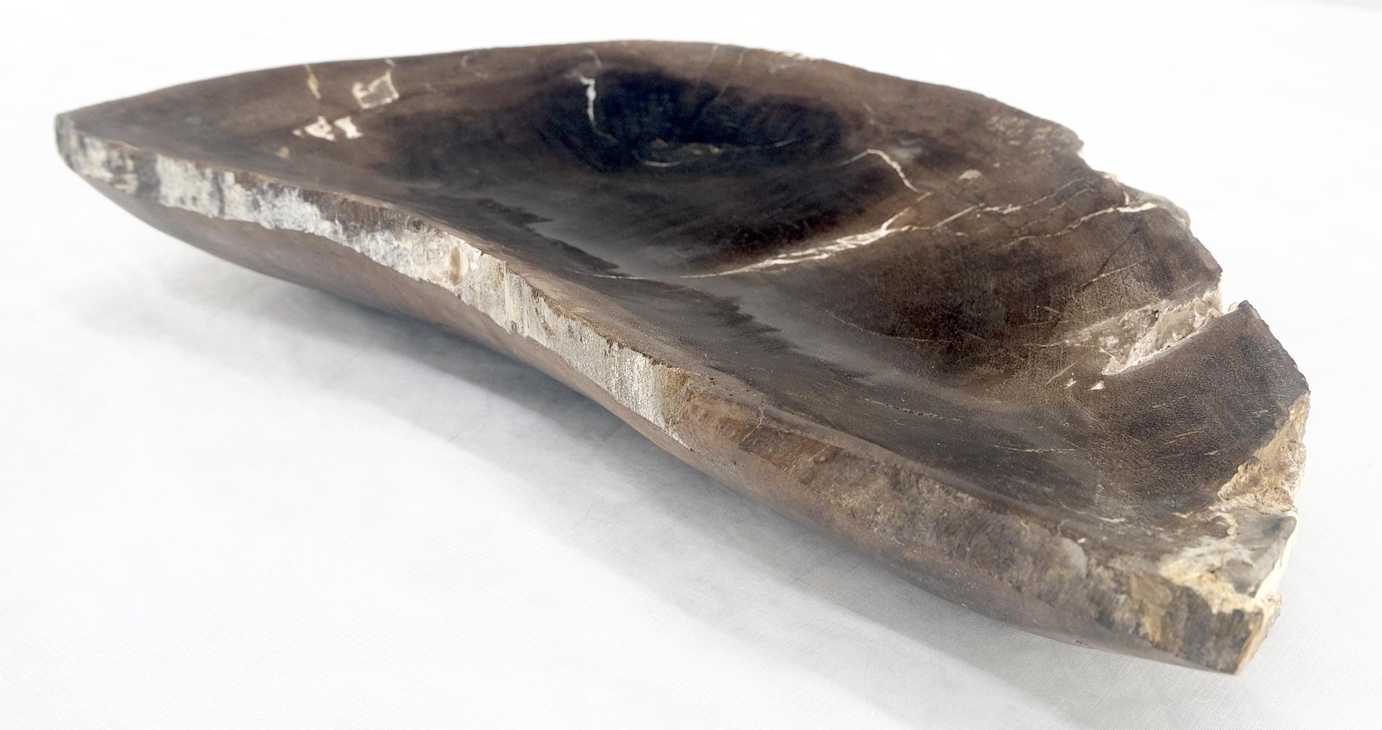 EstablishedLines Organic Liver Shape Black & Tan Petrified Wood Tray Bowl Dish Plate Ashtray MINT
