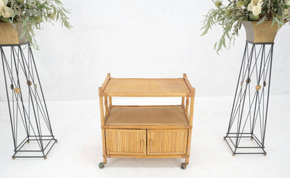 EstablishedLines Rattan Cane Bamboo Mid Century Modern Two Doors Compartment Rolling Bar Cart