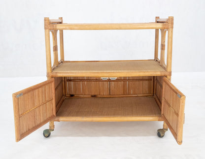 EstablishedLines Rattan Cane Bamboo Mid Century Modern Two Doors Compartment Rolling Bar Cart