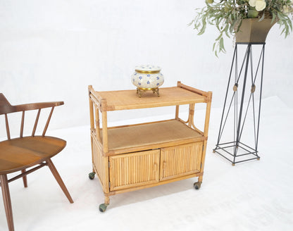 EstablishedLines Rattan Cane Bamboo Mid Century Modern Two Doors Compartment Rolling Bar Cart