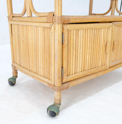 EstablishedLines Rattan Cane Bamboo Mid Century Modern Two Doors Compartment Rolling Bar Cart