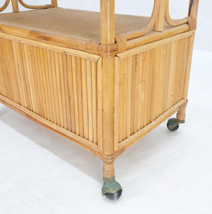EstablishedLines Rattan Cane Bamboo Mid Century Modern Two Doors Compartment Rolling Bar Cart