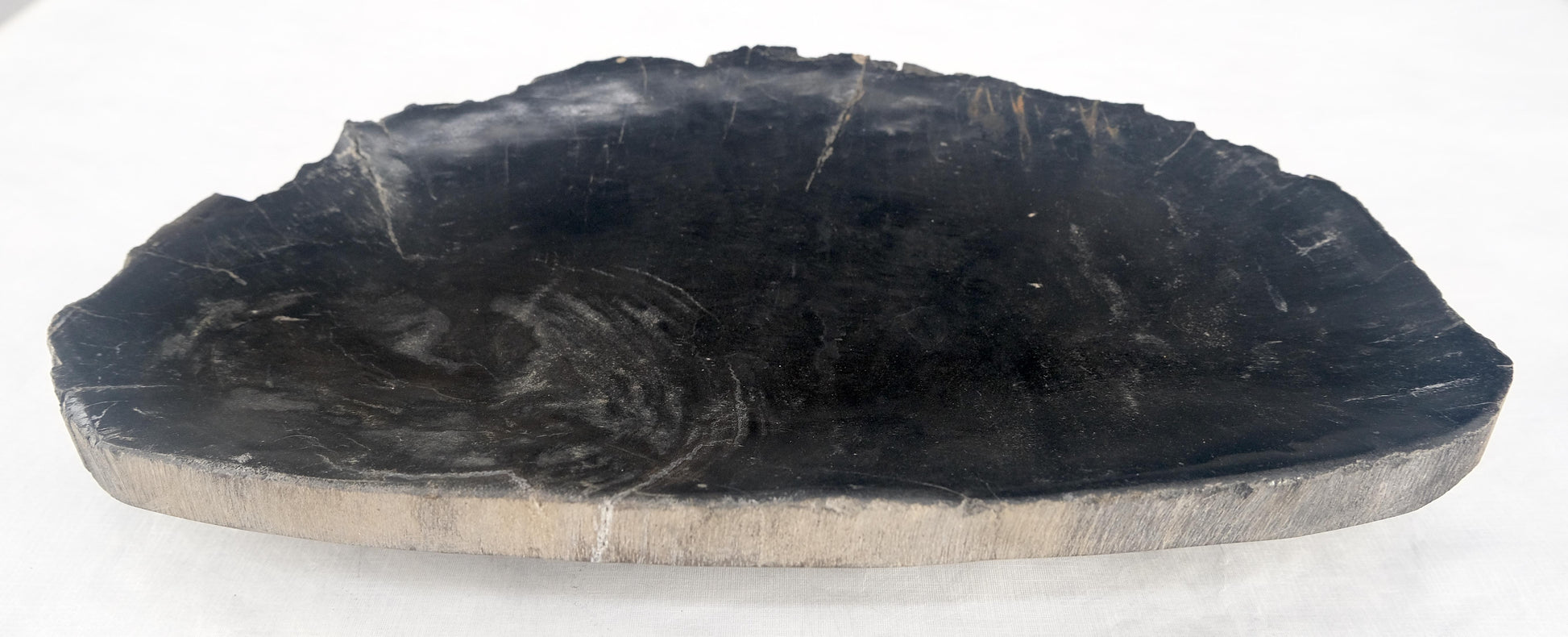 EstablishedLines Organic Oval Shape Black & Tan Petrified Wood Tray Bowl Dish Plate Ashtray
