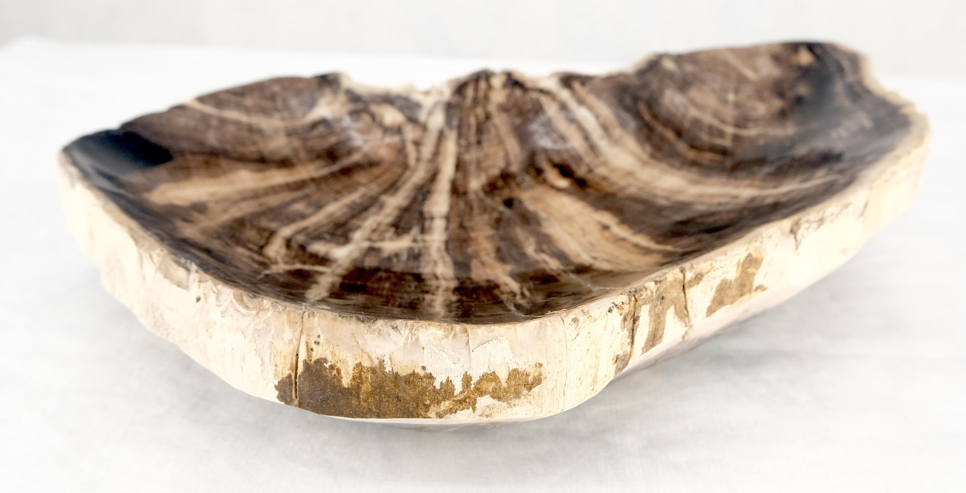 EstablishedLines Organic Liver Shape Black & Tan Petrified Wood Tray Bowl Dish Plate Ashtray