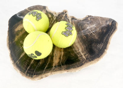 EstablishedLines Organic Liver Shape Black & Tan Petrified Wood Tray Bowl Dish Plate Ashtray
