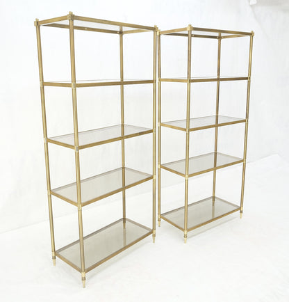 EstablishedLines Pair Decorative Brass Smoked Glass 4 Tier Shelves Vitrines Etageres Displays