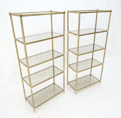 EstablishedLines Pair Decorative Brass Smoked Glass 4 Tier Shelves Vitrines Etageres Displays