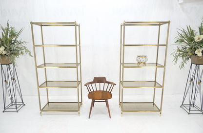 EstablishedLines Pair Decorative Brass Smoked Glass 4 Tier Shelves Vitrines Etageres Displays
