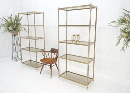 EstablishedLines Pair Decorative Brass Smoked Glass 4 Tier Shelves Vitrines Etageres Displays