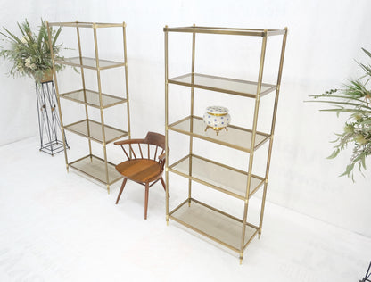 EstablishedLines Pair Decorative Brass Smoked Glass 4 Tier Shelves Vitrines Etageres Displays