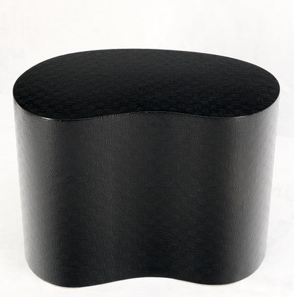 EstablishedLines Kidney Shape Black Lacquer Raffia Cloth Wrapped Side End Coffee Table