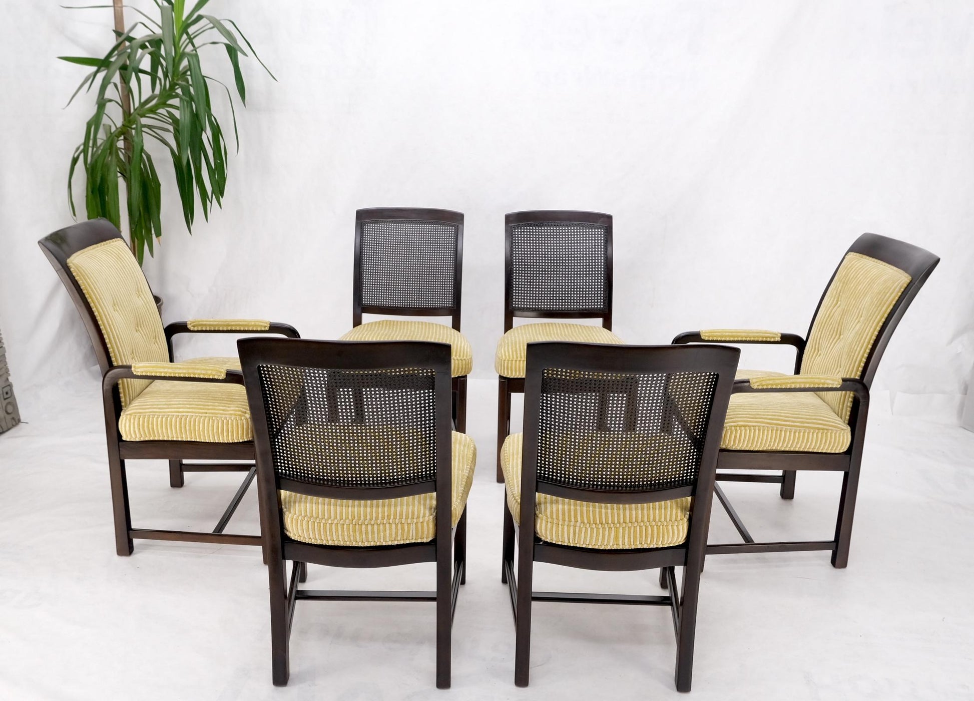 EstablishedLines Set of 6 Dunbar Dining Chairs