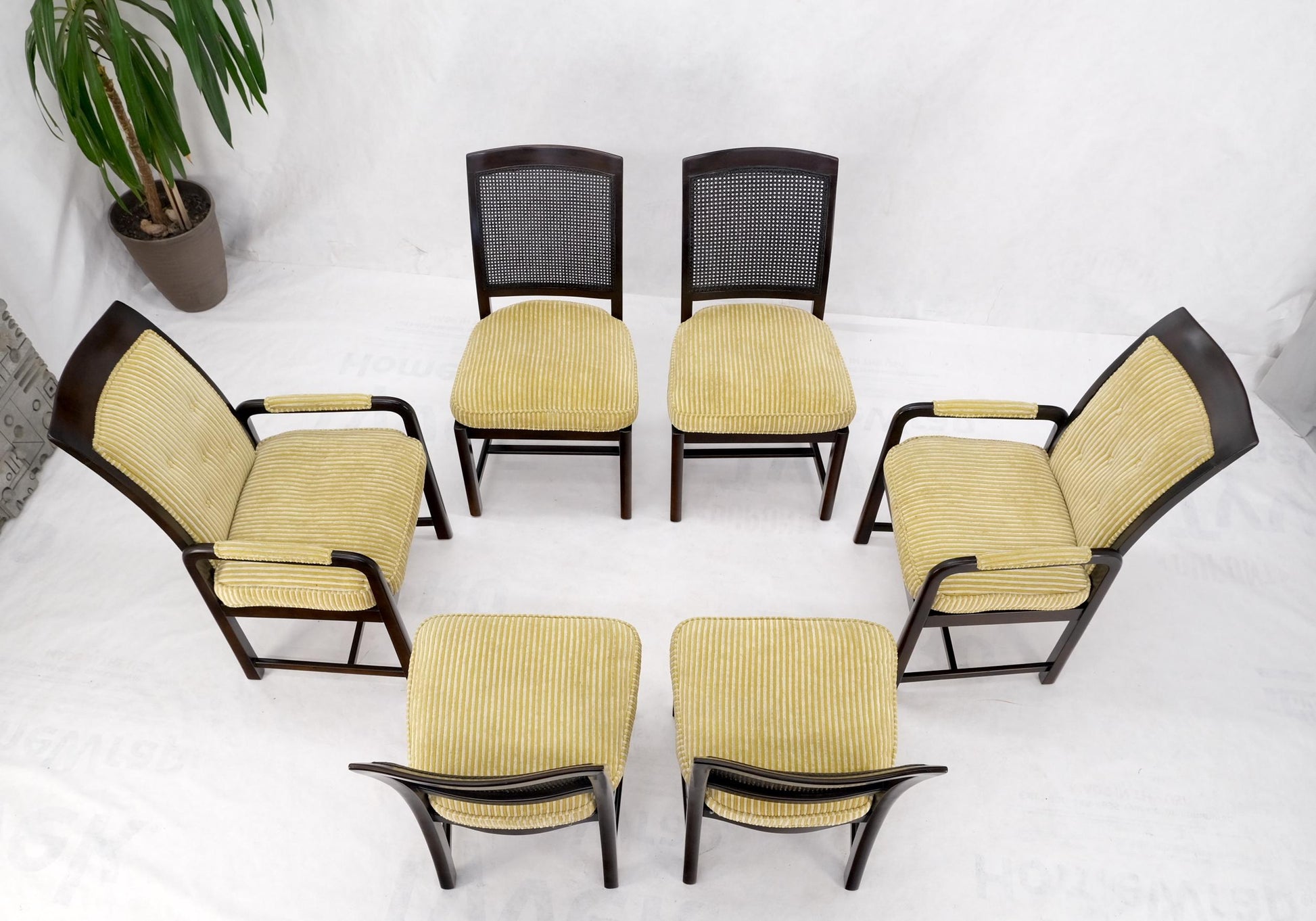 EstablishedLines Set of 6 Dunbar Dining Chairs