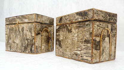 EstablishedLines Unusual Birch Tree Bark Nesting Decorative Trunk Shape Boxes