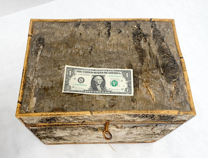 EstablishedLines Unusual Birch Tree Bark Nesting Decorative Trunk Shape Boxes