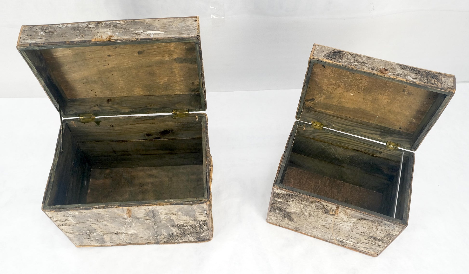 EstablishedLines Unusual Birch Tree Bark Nesting Decorative Trunk Shape Boxes