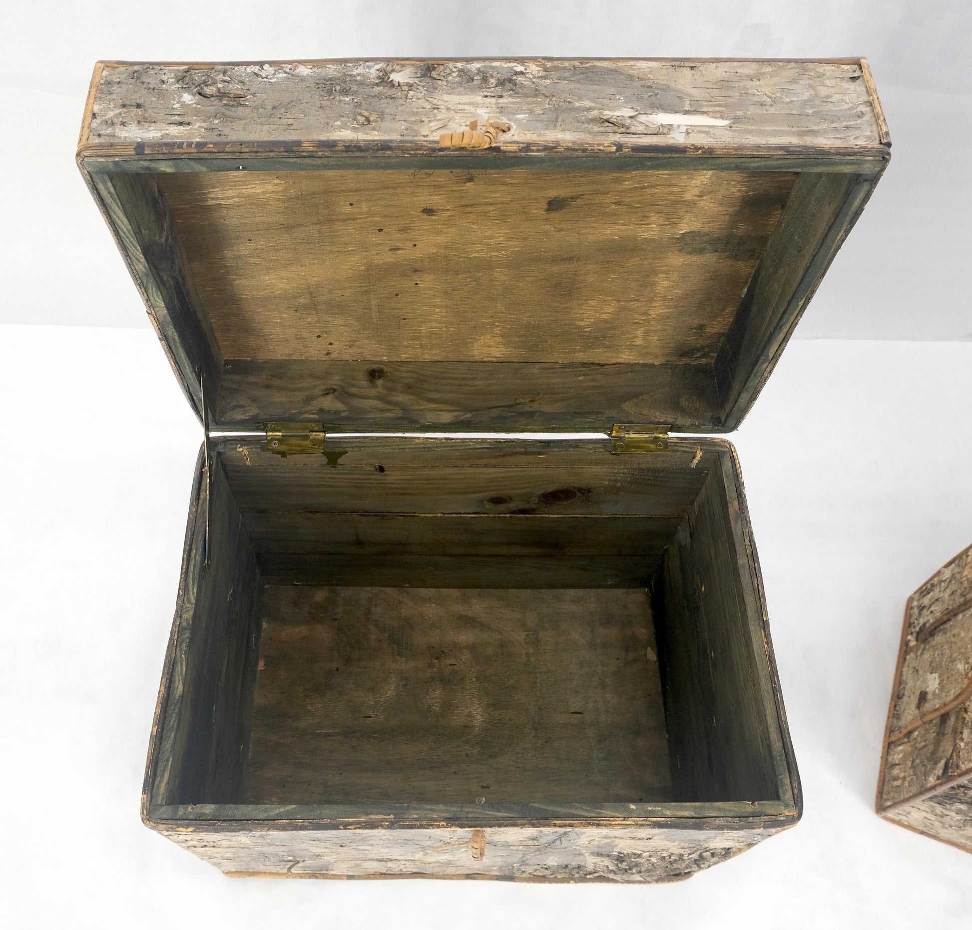 EstablishedLines Unusual Birch Tree Bark Nesting Decorative Trunk Shape Boxes