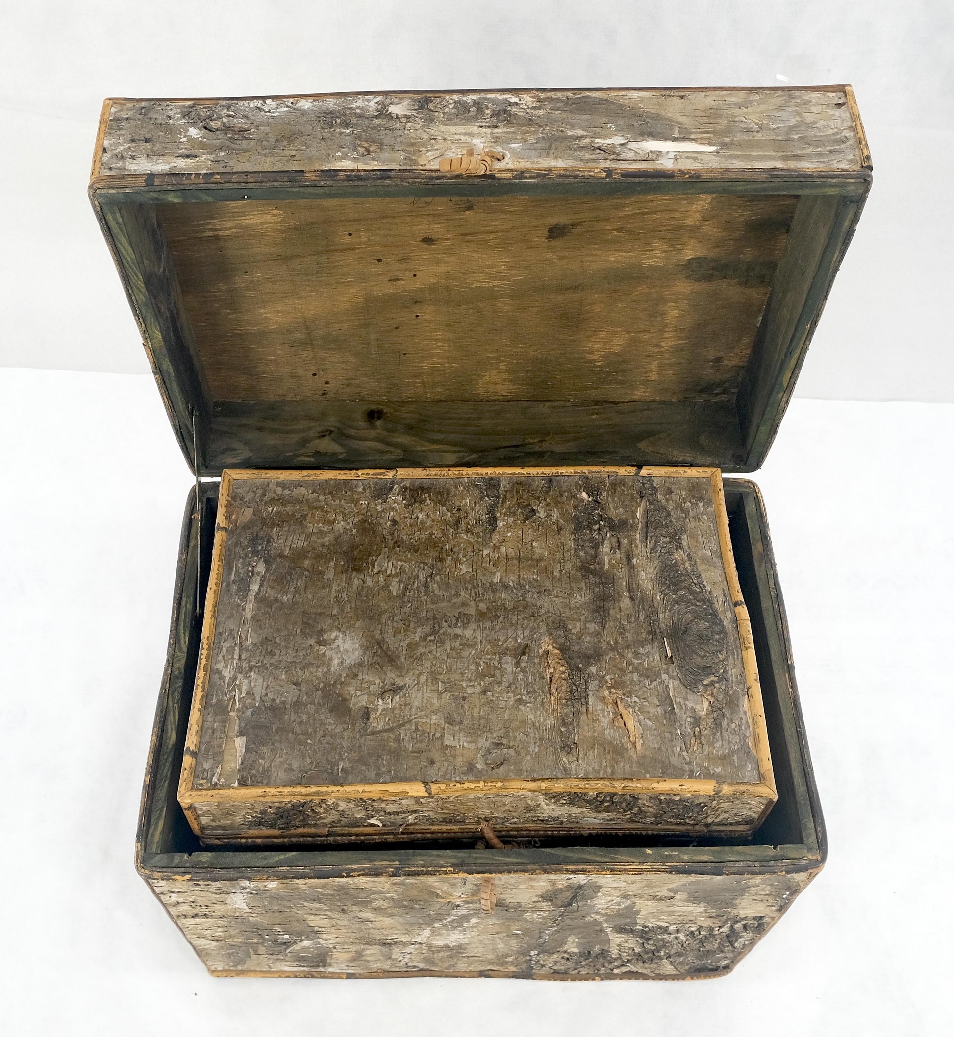 EstablishedLines Unusual Birch Tree Bark Nesting Decorative Trunk Shape Boxes
