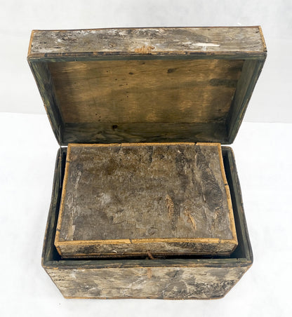 EstablishedLines Unusual Birch Tree Bark Nesting Decorative Trunk Shape Boxes