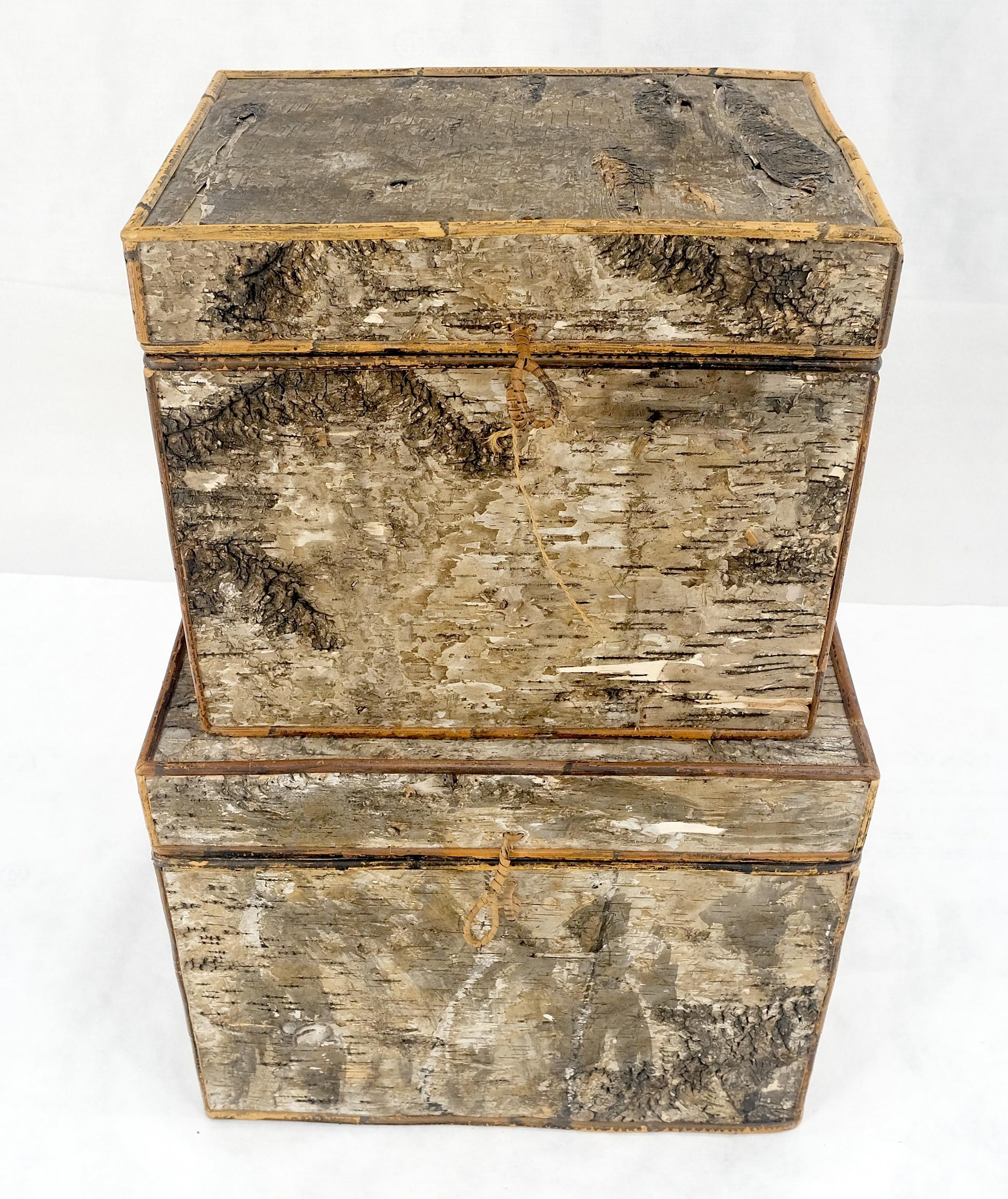 EstablishedLines Unusual Birch Tree Bark Nesting Decorative Trunk Shape Boxes
