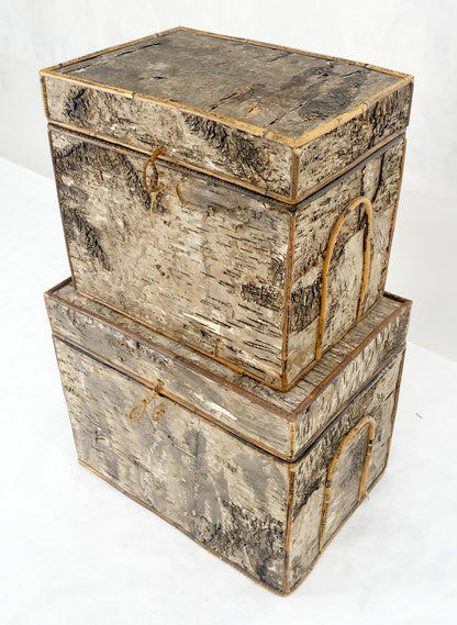 EstablishedLines Unusual Birch Tree Bark Nesting Decorative Trunk Shape Boxes