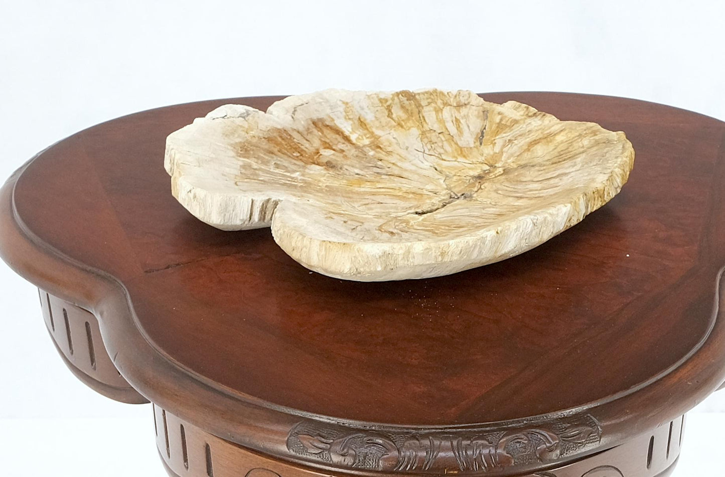 Petrified Wood Round Shape Tan & Amber Oval Bowl Dish Large Plate Ashtray