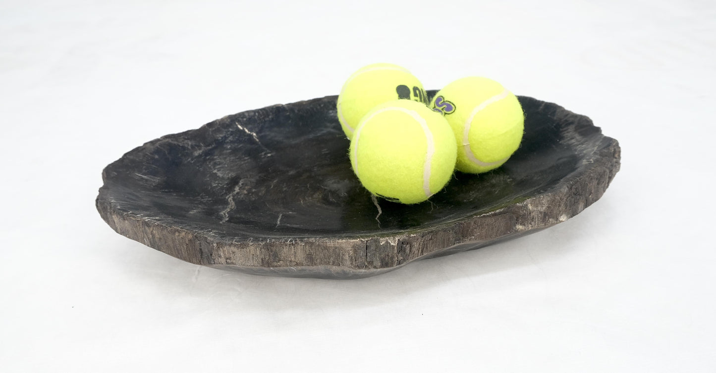 EstablishedLines Petrified Wood Oyster Shape Solid Black Oval Bowl Dish Large Plate Ashtray