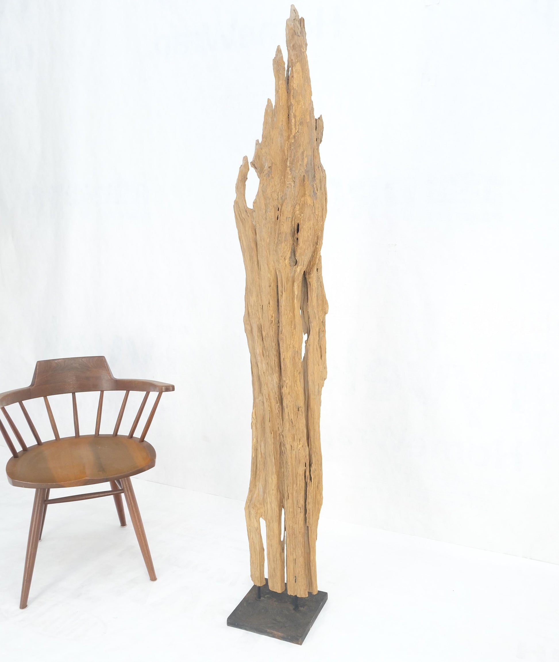 EstablishedLines Mid Century Modern Light Wood 73" Tall  Narrow Driftwood Sculpture on Steel Base