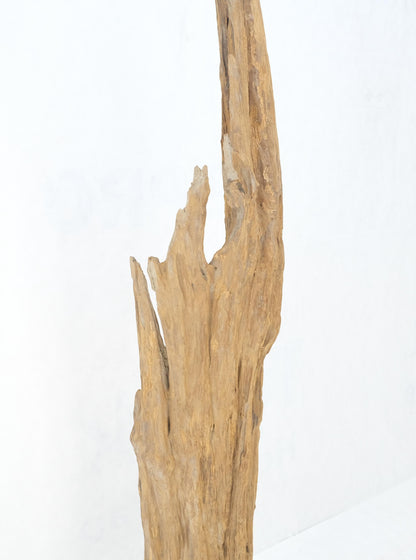 EstablishedLines Mid Century Modern Light Wood 73" Tall  Narrow Driftwood Sculpture on Steel Base