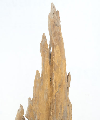 EstablishedLines Mid Century Modern Light Wood 73" Tall  Narrow Driftwood Sculpture on Steel Base