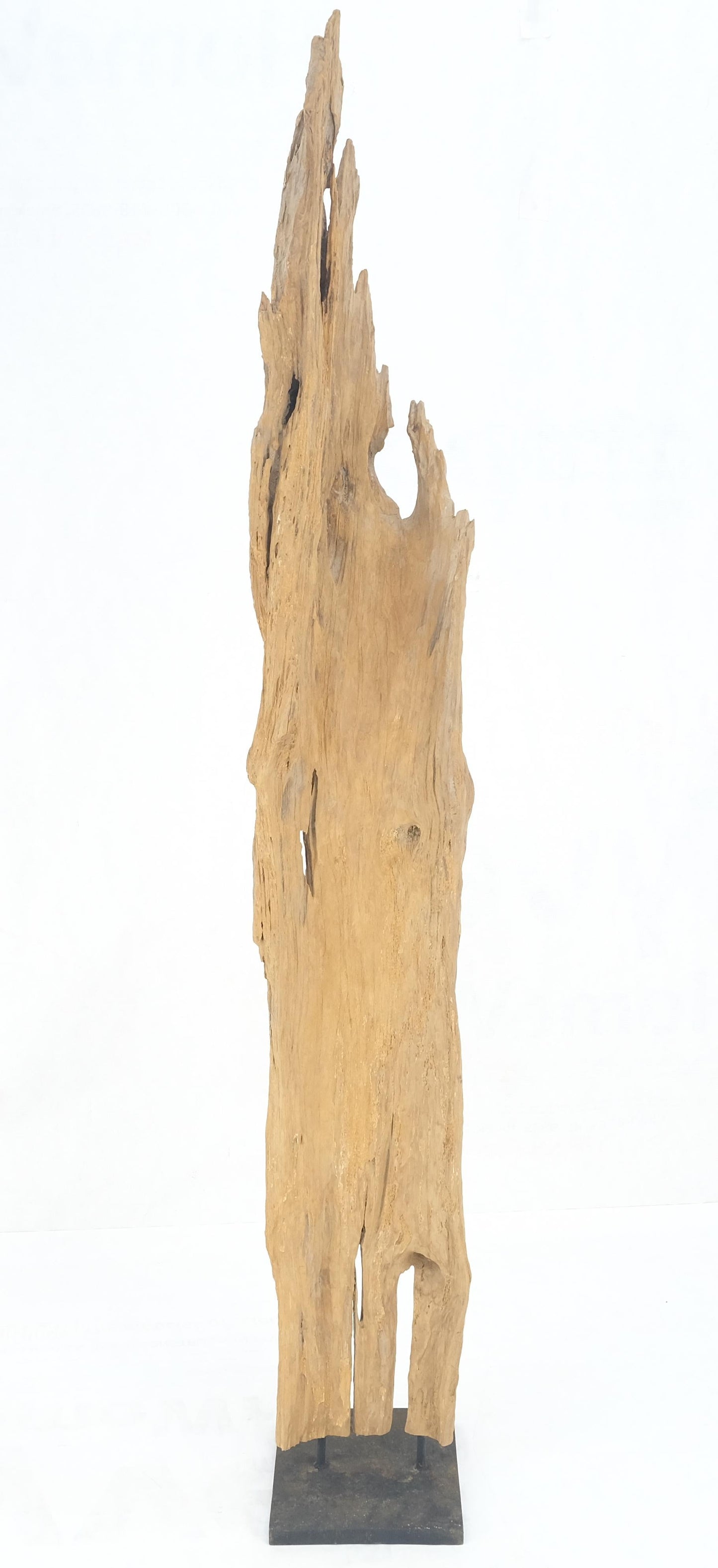 EstablishedLines Mid Century Modern Light Wood 73" Tall  Narrow Driftwood Sculpture on Steel Base
