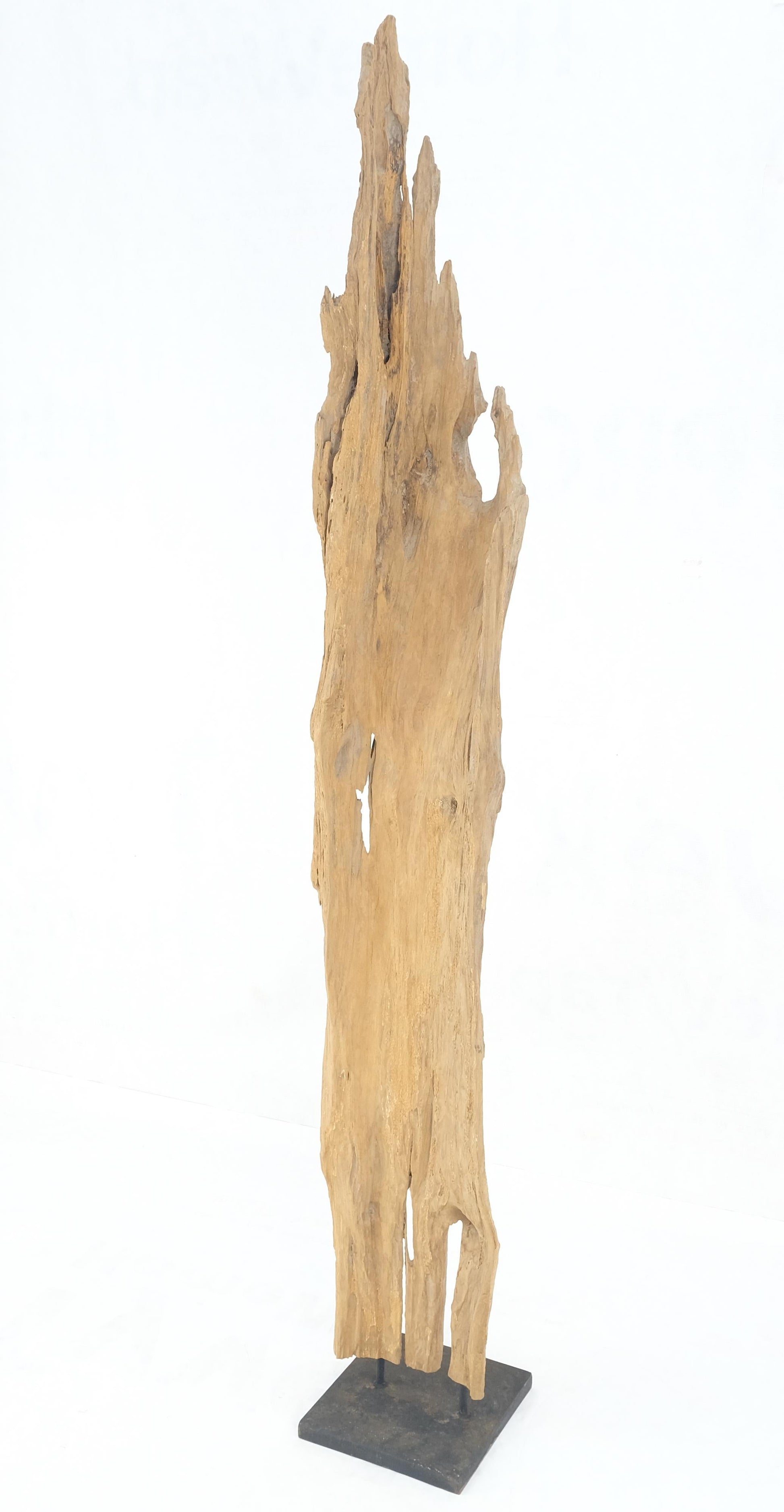 EstablishedLines Mid Century Modern Light Wood 73" Tall  Narrow Driftwood Sculpture on Steel Base