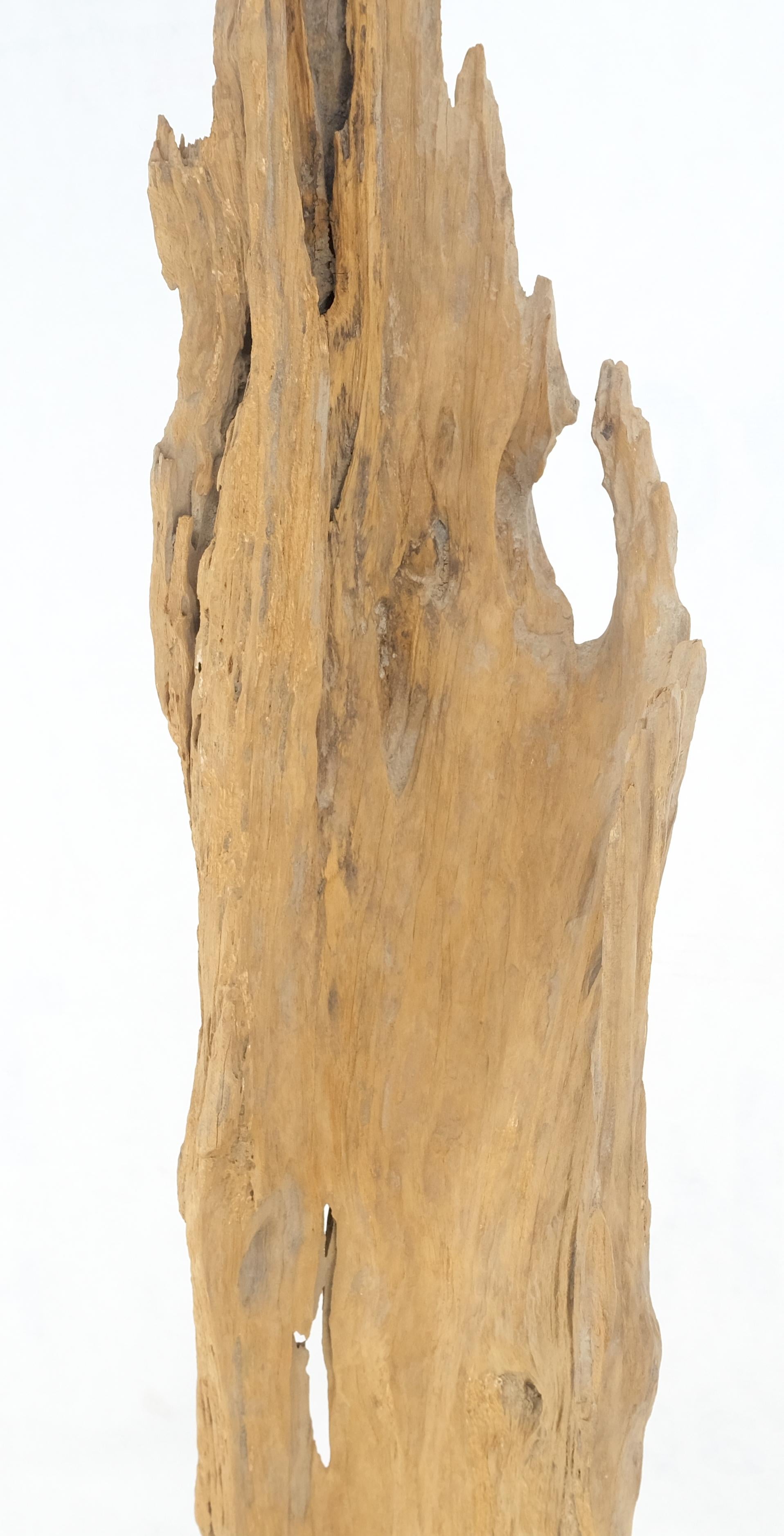 EstablishedLines Mid Century Modern Light Wood 73" Tall  Narrow Driftwood Sculpture on Steel Base