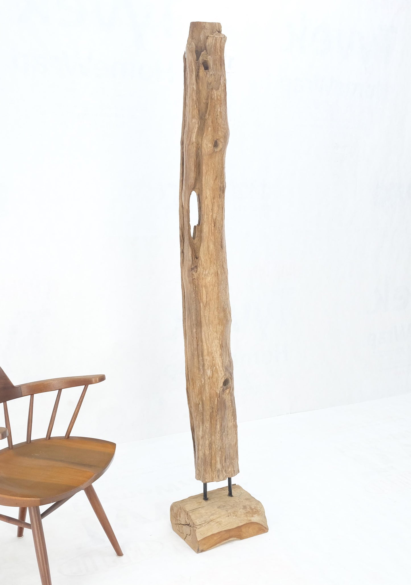 EstablishedLines 78" Tall & Narrow Natural Art Light Driftwood Specimen Sculpture on Wooden Base