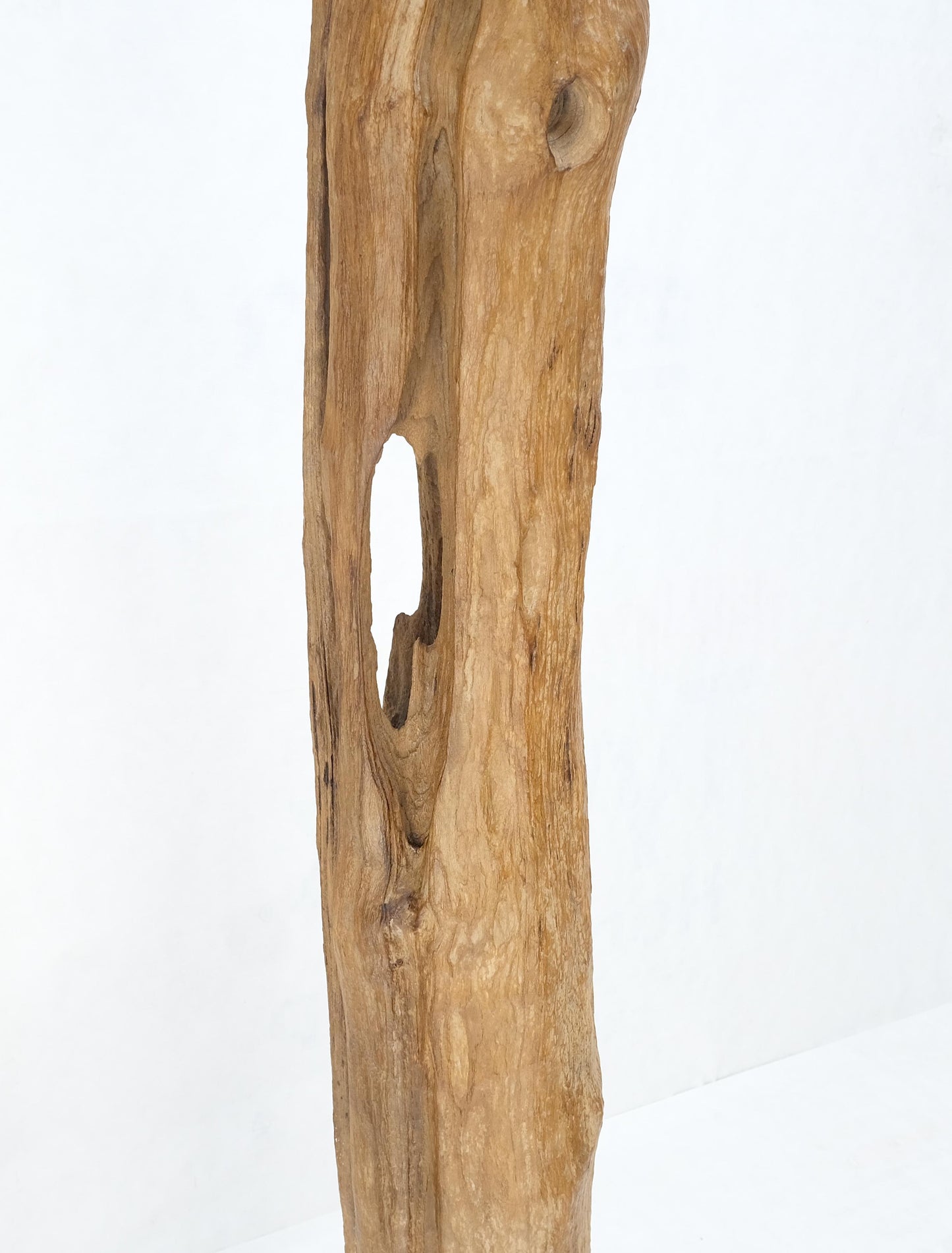 EstablishedLines 78" Tall & Narrow Natural Art Light Driftwood Specimen Sculpture on Wooden Base