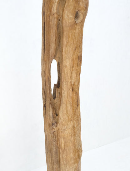 EstablishedLines 78" Tall & Narrow Natural Art Light Driftwood Specimen Sculpture on Wooden Base