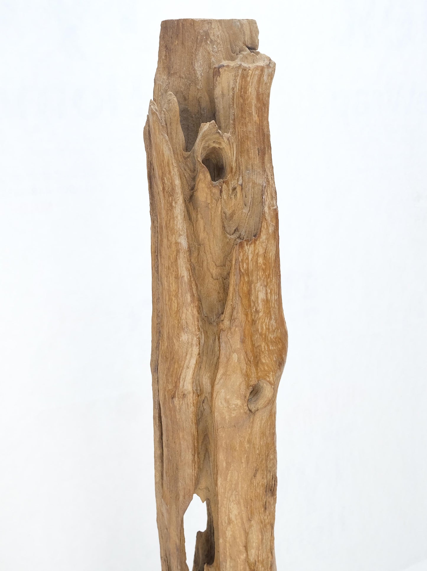 EstablishedLines 78" Tall & Narrow Natural Art Light Driftwood Specimen Sculpture on Wooden Base