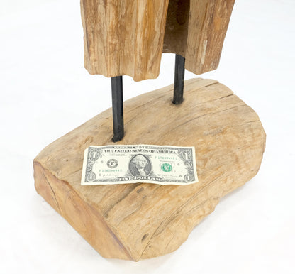 EstablishedLines 78" Tall & Narrow Natural Art Light Driftwood Specimen Sculpture on Wooden Base