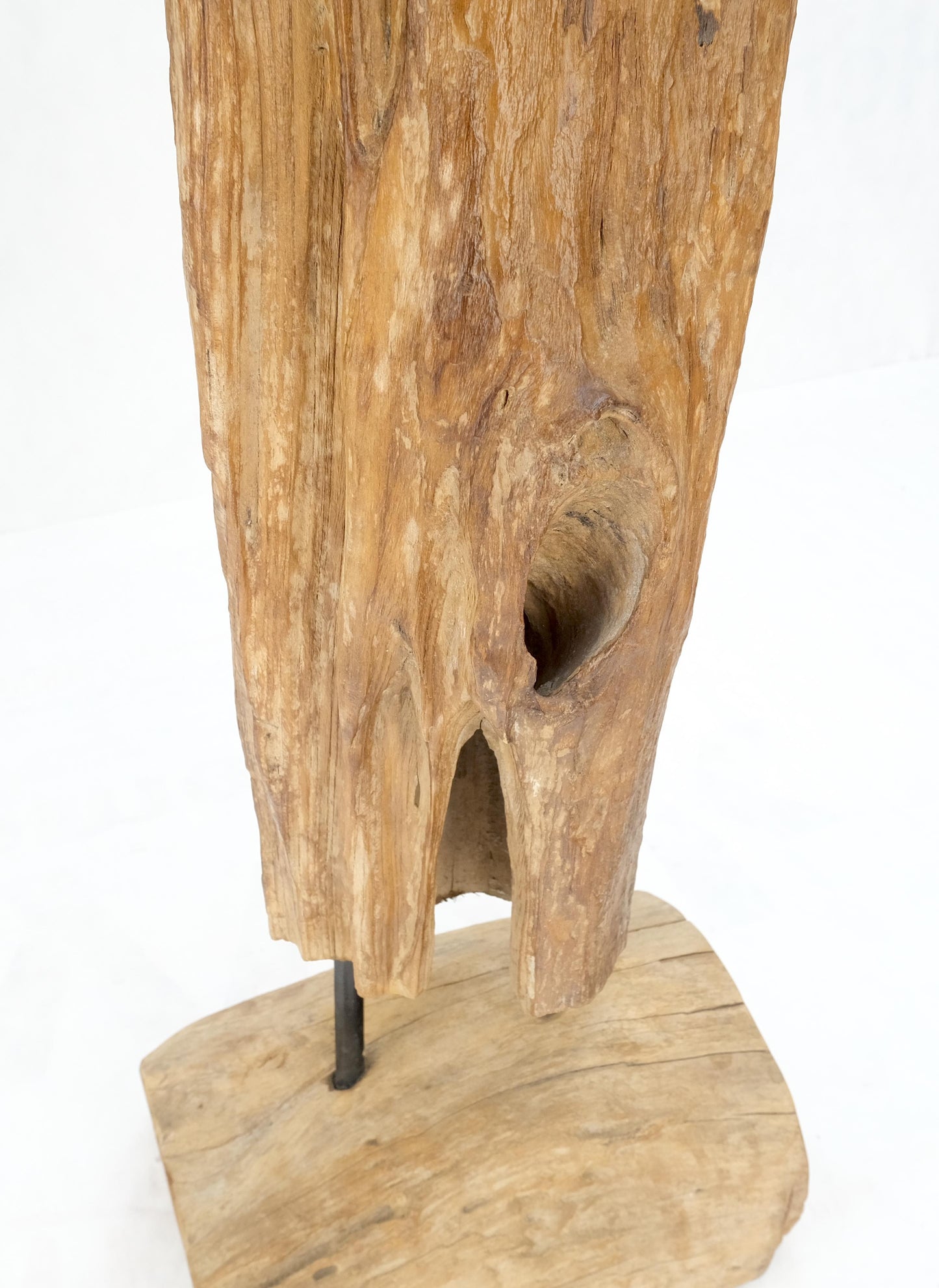 EstablishedLines 78" Tall & Narrow Natural Art Light Driftwood Specimen Sculpture on Wooden Base