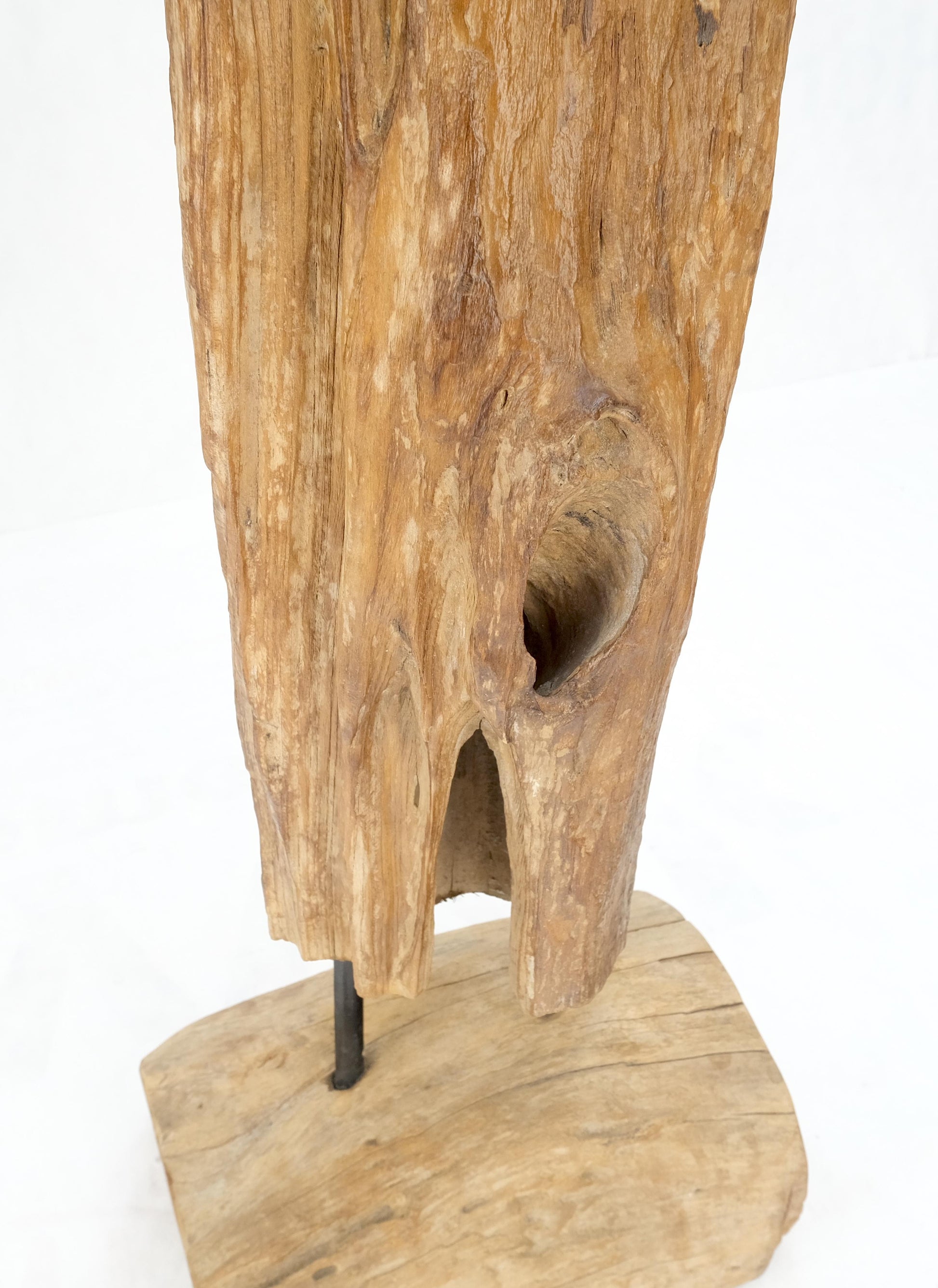 EstablishedLines 78" Tall & Narrow Natural Art Light Driftwood Specimen Sculpture on Wooden Base