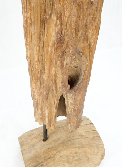EstablishedLines 78" Tall & Narrow Natural Art Light Driftwood Specimen Sculpture on Wooden Base