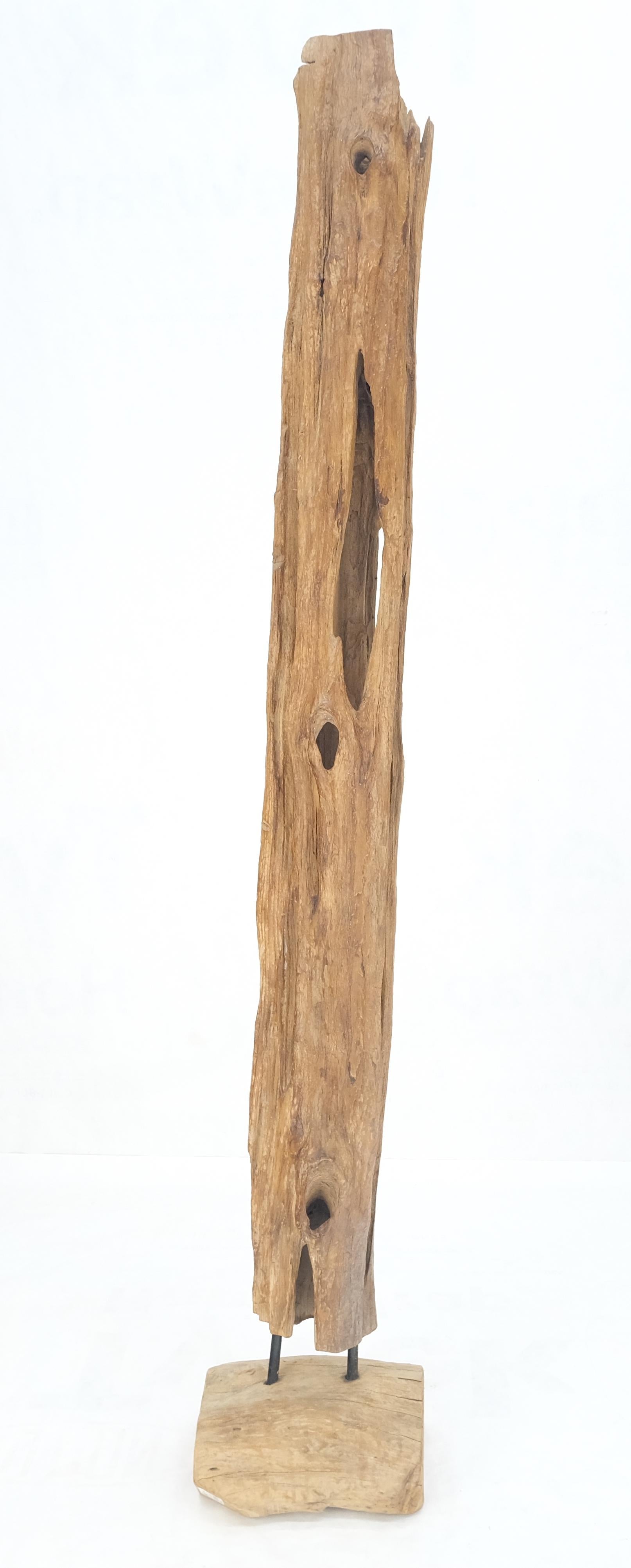 EstablishedLines 78" Tall & Narrow Natural Art Light Driftwood Specimen Sculpture on Wooden Base