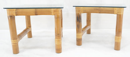 EstablishedLines Pair Thick Bamboo Glass Top Rectangle Glass Top End Side Lamp Tables MINT