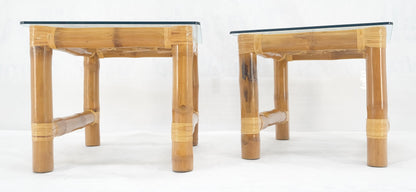 EstablishedLines Pair Thick Bamboo Glass Top Rectangle Glass Top End Side Lamp Tables MINT