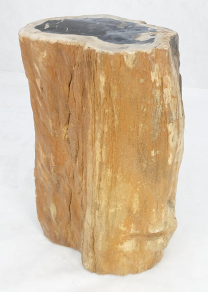 EstablishedLines Beige Black Petrified Wood Organic Stomp Shape Stand End Side Table Pedestal