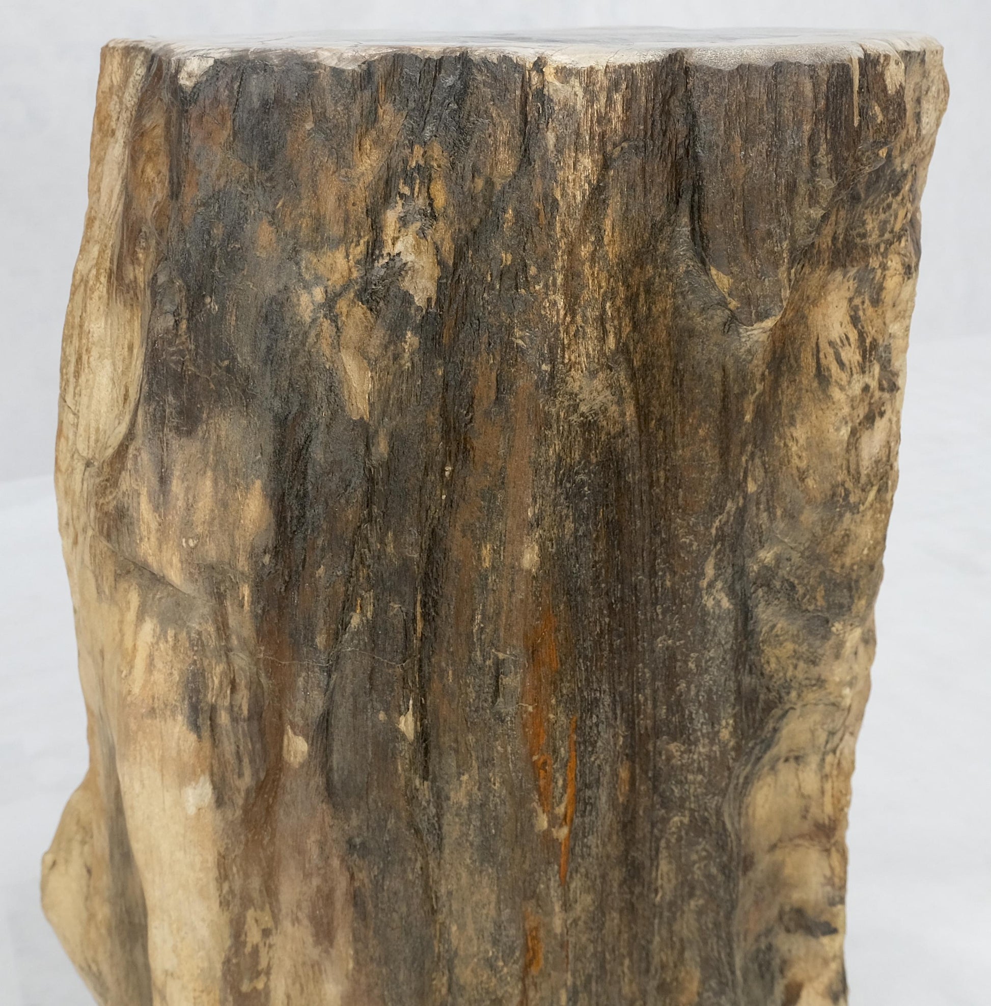 EstablishedLines Beige Black Petrified Wood Organic Stomp Shape Stand End Side Table Pedestal