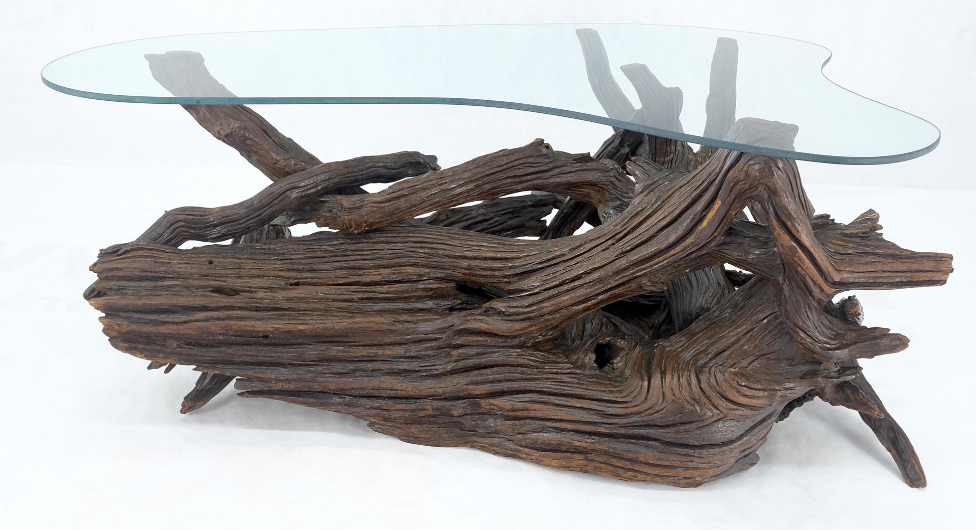 EstablishedLines Amoeba Glass Top Organic Drift Wood Base Coffee Center Table MINT!