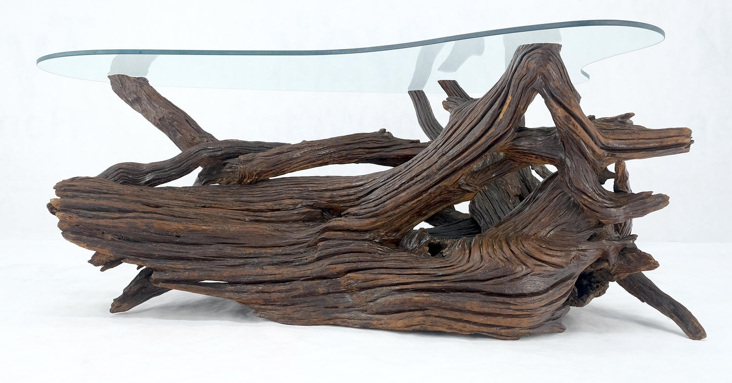 EstablishedLines Amoeba Glass Top Organic Drift Wood Base Coffee Center Table MINT!