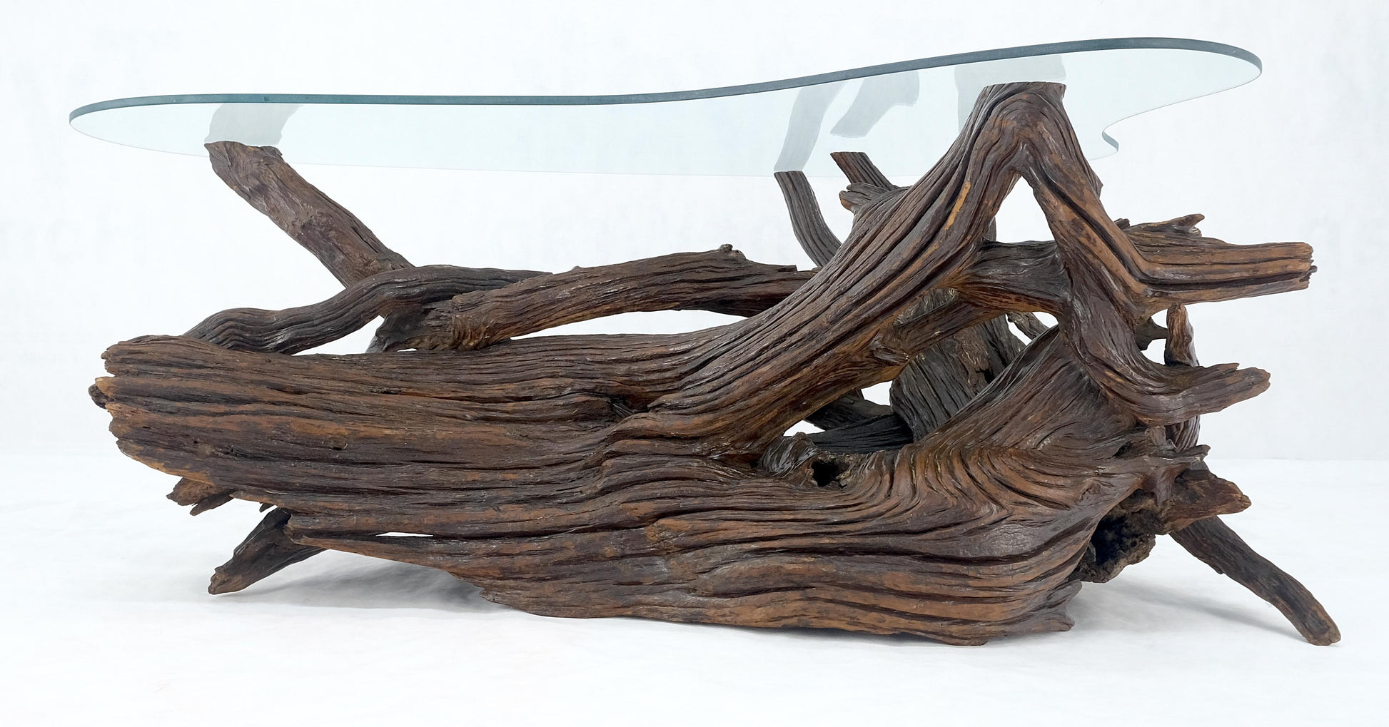 EstablishedLines Amoeba Glass Top Organic Drift Wood Base Coffee Center Table MINT!