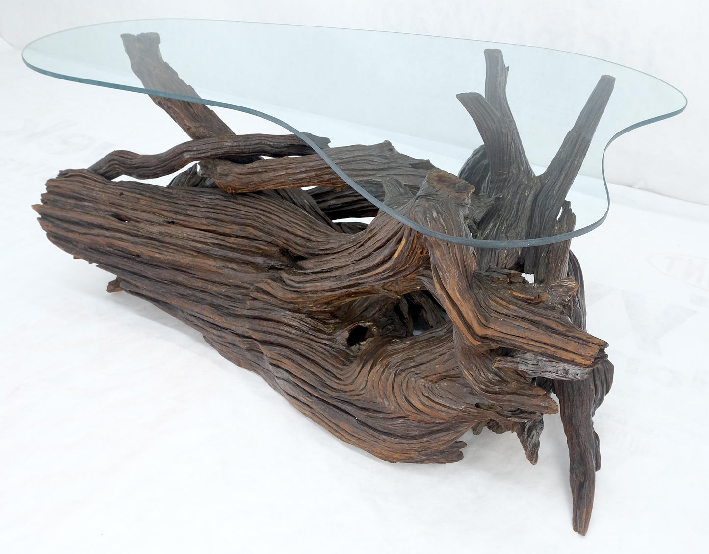 EstablishedLines Amoeba Glass Top Organic Drift Wood Base Coffee Center Table MINT!